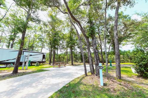 A serene campsite with a concrete pad, picnic table, and surrounded by tall trees in a lush green setting.