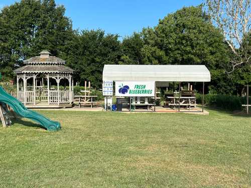 A grassy area featuring a gazebo, a picnic shelter with a "Fresh Blueberries" sign, and a playground slide.