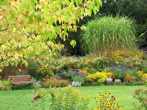 A vibrant garden filled with colorful flowers, lush greenery, and a wooden bench under a tree.