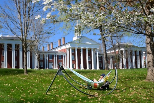 A person relaxes in a hammock on a sunny day, with a historic building and blooming trees in the background.