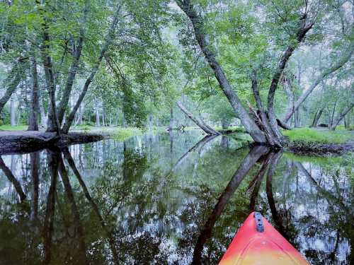 A kayak on a calm river surrounded by lush green trees, reflecting in the water.