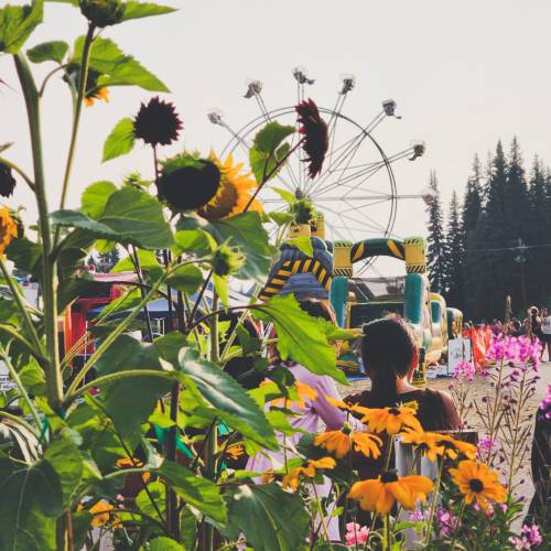 A vibrant fair scene with sunflowers and colorful flowers in the foreground, featuring a ferris wheel and inflatable attractions.