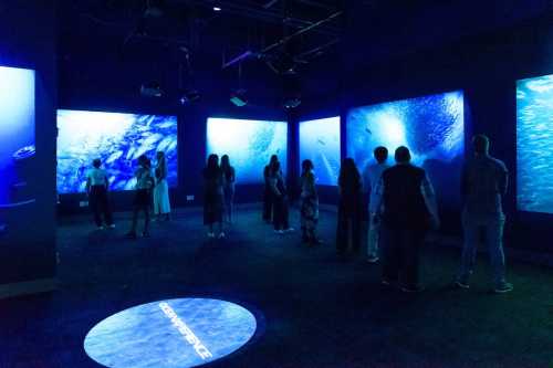 Visitors explore a dark room with large screens displaying vibrant underwater scenes and marine life.