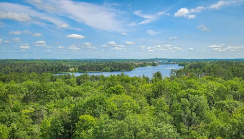 A scenic view of a lake surrounded by lush green trees under a bright blue sky with fluffy clouds.