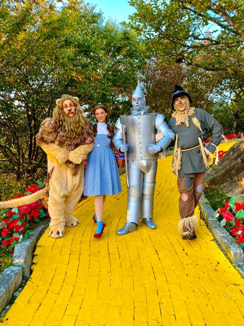 A group of four characters from "The Wizard of Oz" stands on a yellow brick road surrounded by greenery and flowers.