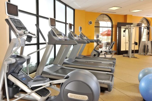 A bright gym with treadmills, an elliptical machine, and exercise balls, featuring large windows and orange walls.