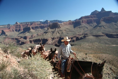 A cowboy rides a horse along a rocky trail with a vast canyon landscape in the background.