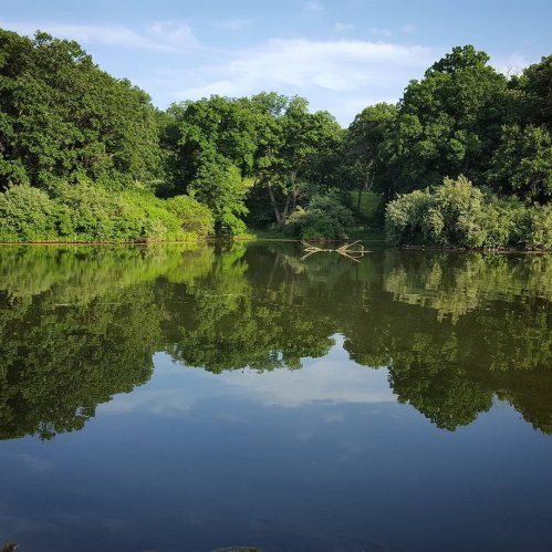 A serene lake surrounded by lush green trees, reflecting the clear blue sky and foliage.