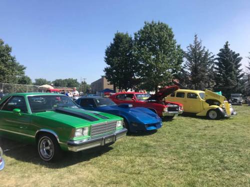 A row of classic cars in various colors parked on grass at a car show, with trees and buildings in the background.