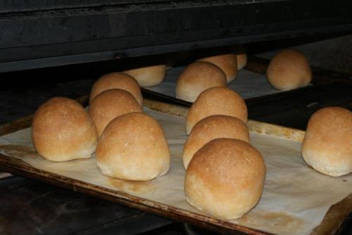 Freshly baked rolls on a tray, golden brown and rising in an oven.