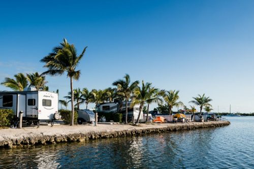 A scenic waterfront view with RVs and tents lined along a palm tree-lined shore under a clear blue sky.