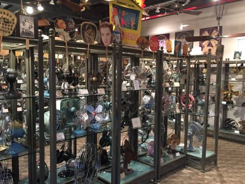 A display of vintage fans in glass cases, showcasing various styles and designs in a museum setting.