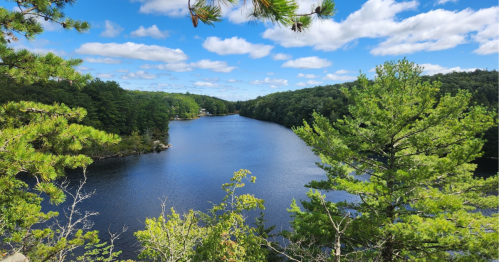 A serene lake surrounded by lush green trees under a bright blue sky with fluffy clouds.