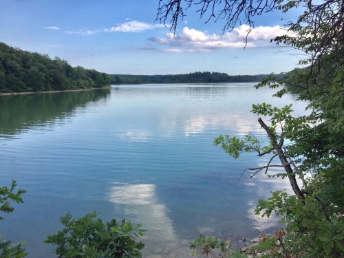 A serene lake surrounded by trees, reflecting blue skies and clouds on its calm surface.