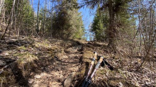 A rocky hiking trail surrounded by trees, with trekking poles resting on the ground in the foreground.