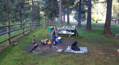 A person sits by a campfire in a forested area, with a dog nearby and a picnic table filled with supplies.