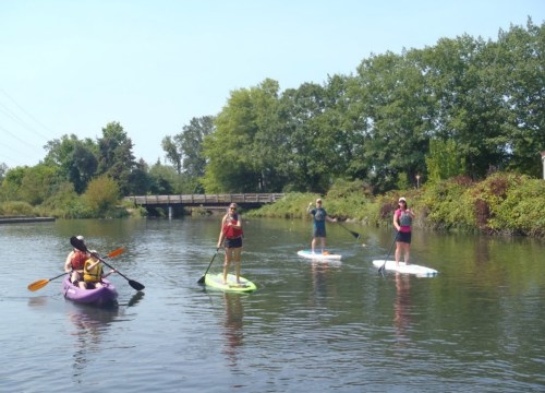 Four people paddleboarding on a calm river, surrounded by greenery and a bridge in the background.