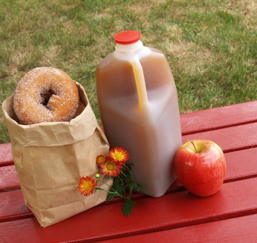A paper bag with a donut, a jug of apple cider, a red apple, and a flower on a red picnic table.