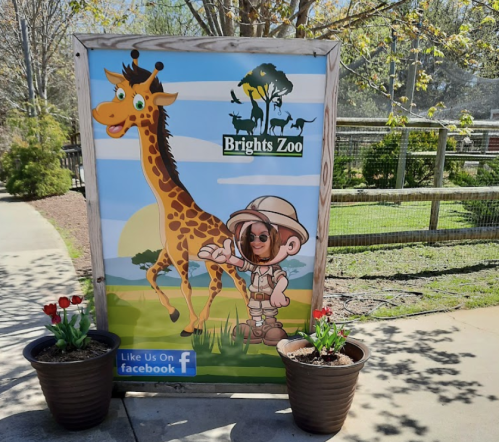 A colorful sign for Brights Zoo featuring a cartoon giraffe and a safari guide, with flower pots in the foreground.