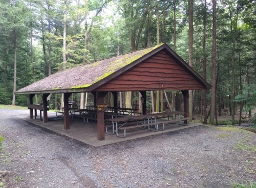 A wooden picnic shelter with a mossy roof, surrounded by trees in a forested area. Gravel path leads to the shelter.