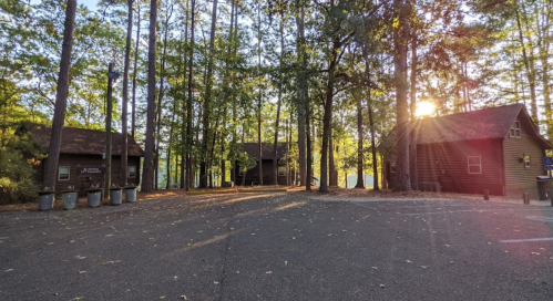 Two rustic cabins surrounded by tall trees, with sunlight filtering through the leaves and a paved parking area.