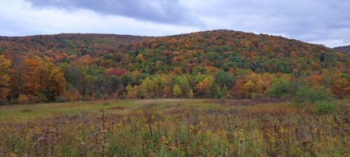 A panoramic view of a colorful autumn landscape with rolling hills and a mix of green and orange foliage.