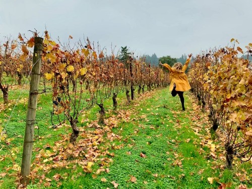 A person in a yellow coat joyfully jumps among grapevines with autumn leaves on a cloudy day.