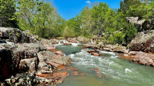 A serene river flows through rocky terrain, surrounded by lush green trees under a clear blue sky.