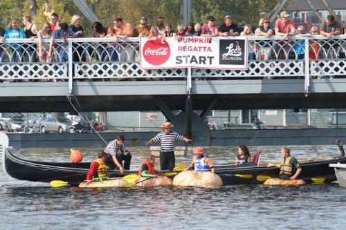 Participants in pumpkin-shaped boats compete in a regatta under a bridge, with spectators watching from above.