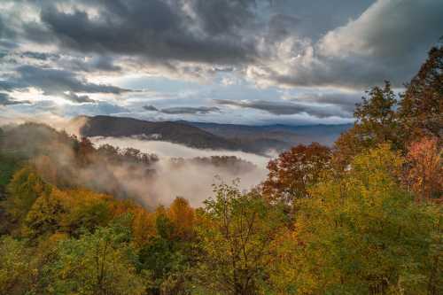 A scenic view of misty mountains surrounded by colorful autumn foliage under a cloudy sky.