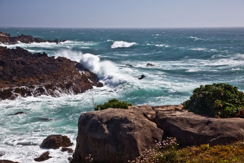 Waves crash against rocky cliffs under a clear sky, with greenery in the foreground and a bird flying above the water.