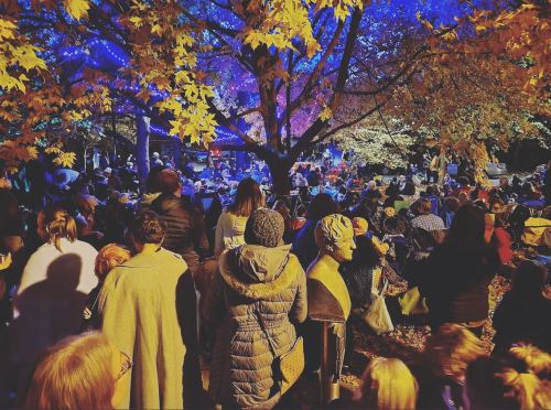 A crowd gathers under a colorful tree at night, enjoying a live performance amidst autumn leaves.