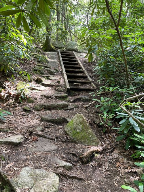 A wooden staircase leads up a rocky path through a lush, green forest.