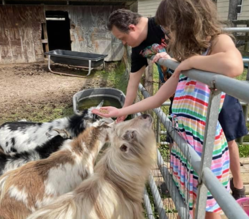 A child and an adult petting goats at a farm, with a wooden fence and a water trough in the background.