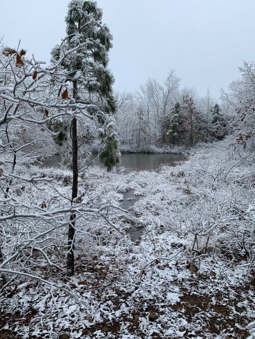 A serene winter landscape featuring a snowy pond surrounded by trees and a blanket of fresh snow.