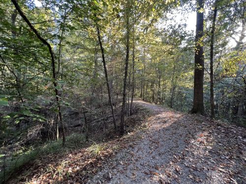 A winding gravel path through a lush, green forest with sunlight filtering through the trees.