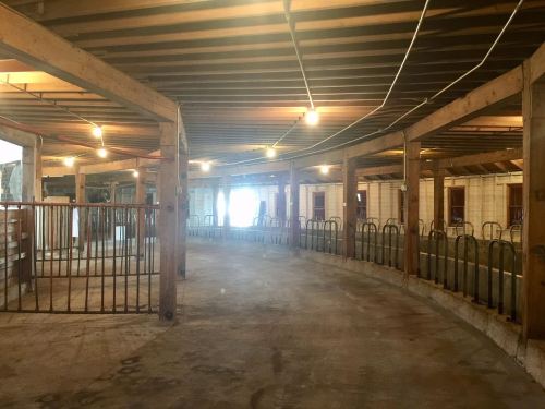 Interior of a barn with wooden beams, dim lighting, and a circular layout featuring metal barriers and empty stalls.