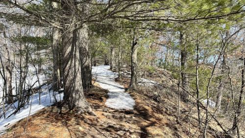 A winding forest path surrounded by trees, with patches of snow on the ground and sunlight filtering through the branches.