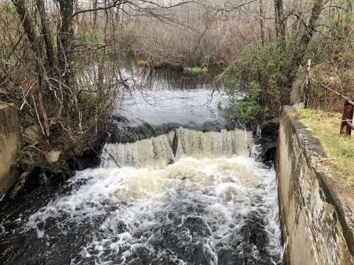 A small waterfall cascades over a concrete barrier into a dark, flowing stream surrounded by trees and vegetation.