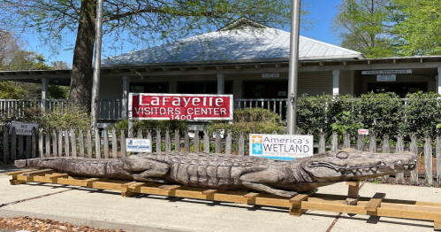 A large wooden alligator sculpture in front of the Lafayette Visitors Center, with signs for America's Wetland.