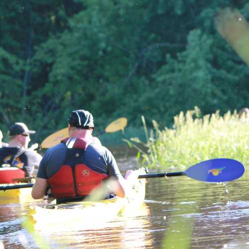 Two people kayaking on a calm river surrounded by lush greenery and sunlight.