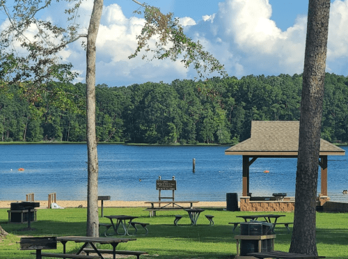 A serene lake view with picnic tables, trees, and a gazebo under a blue sky with fluffy clouds.