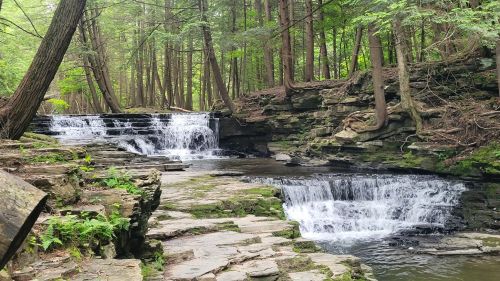 A serene forest scene featuring cascading waterfalls over rocky terrain, surrounded by lush green trees.