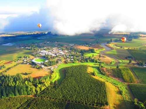Aerial view of a rural landscape with hot air balloons, fields, and a small town surrounded by greenery and clouds.