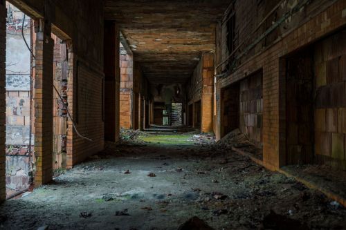 A dimly lit, abandoned corridor with crumbling walls and overgrown moss on the floor.