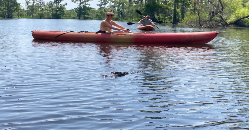 A person kayaking on a calm lake, with a small dog in the kayak and a glimpse of an alligator in the water.
