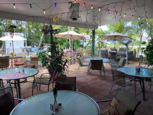 Outdoor dining area with tables, umbrellas, and string lights, surrounded by greenery and a relaxed atmosphere.