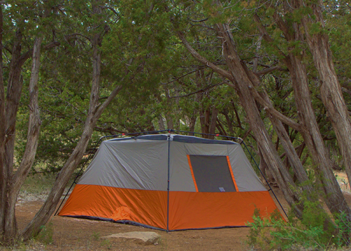 A gray and orange tent set up among trees in a natural outdoor setting.