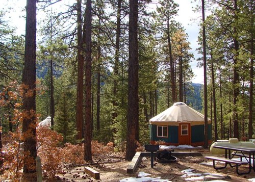 A yurt nestled among tall pine trees in a forest, with a picnic table and grill nearby. Snow patches on the ground.