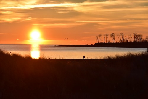 A serene sunset over a calm lake, with silhouettes of trees and a person standing on the shore.